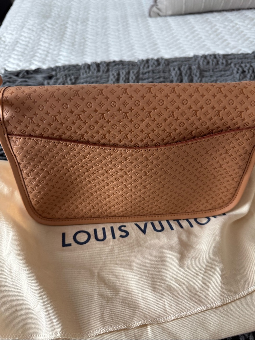 NWT Louis Vuitton Diane Hazelnut Mini Monogram  Leather Shoulder/Crossbody Bag - Picture 9 of 13